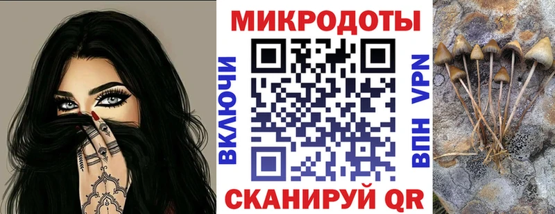 закладка Кириллов Псилоцибиновые грибы GOLDEN TEACHER